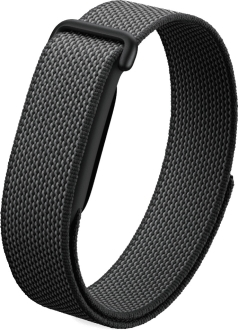 Google Fitbit Air