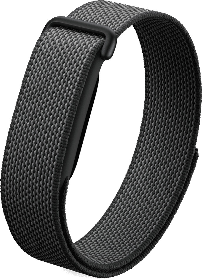 Google Fitbit Air