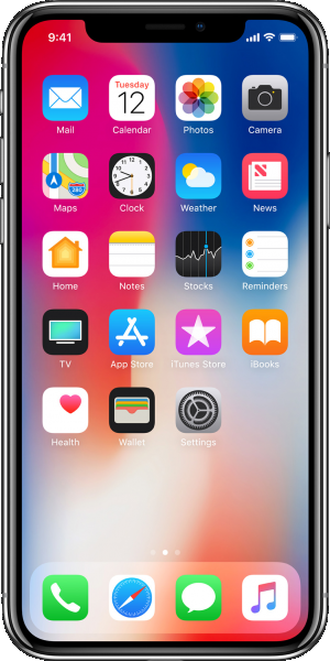 Apple iPhone X 256GB