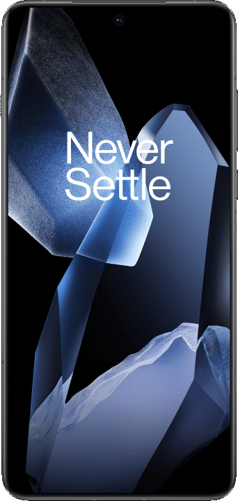OnePlus 13
