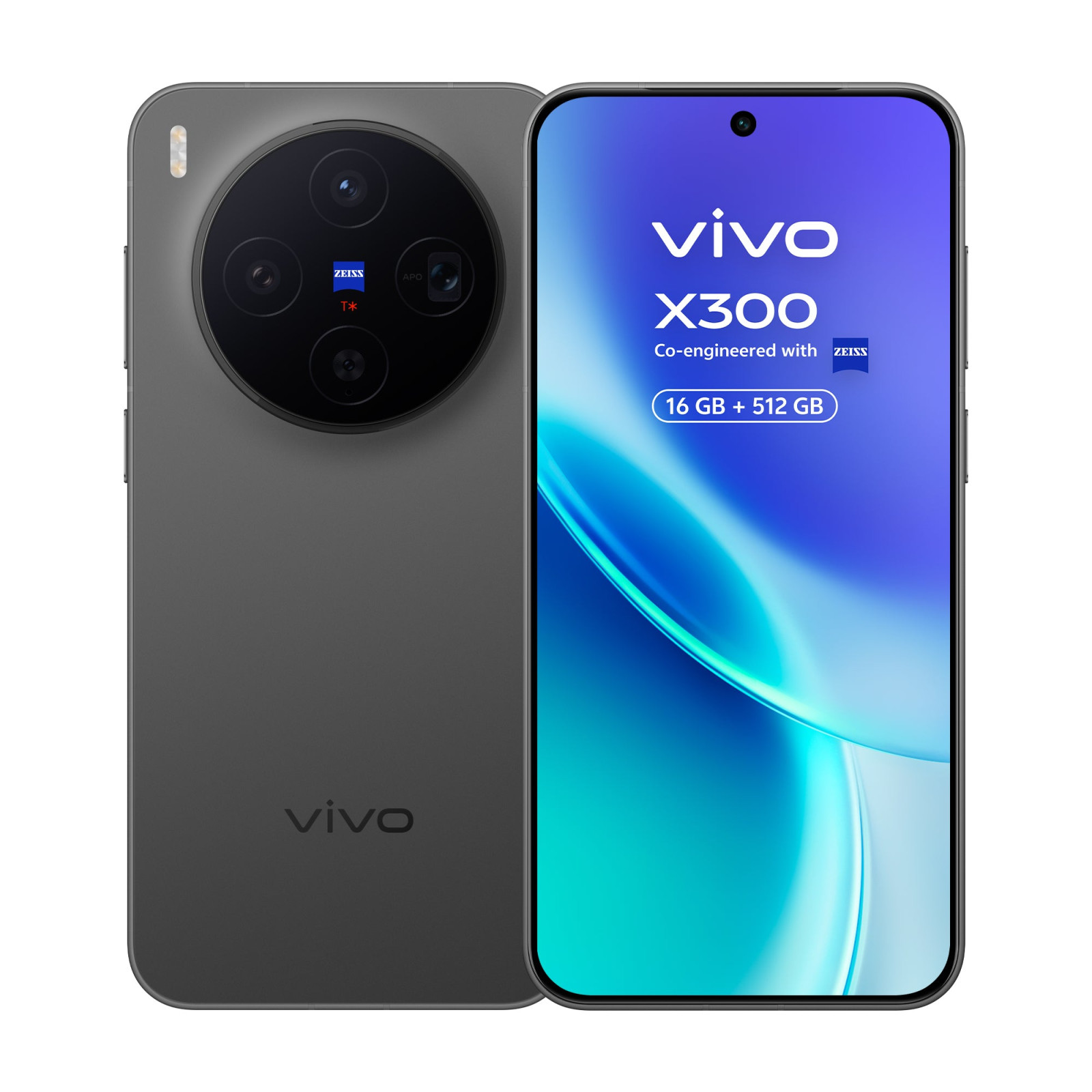 Vivo X300