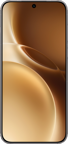 Vivo X300 Pro