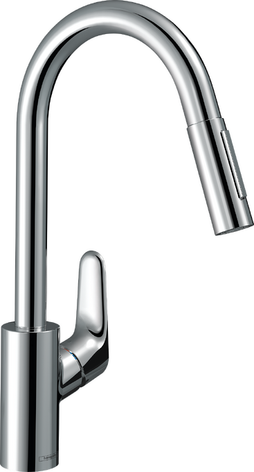 Hansgrohe Focus M41 31815000