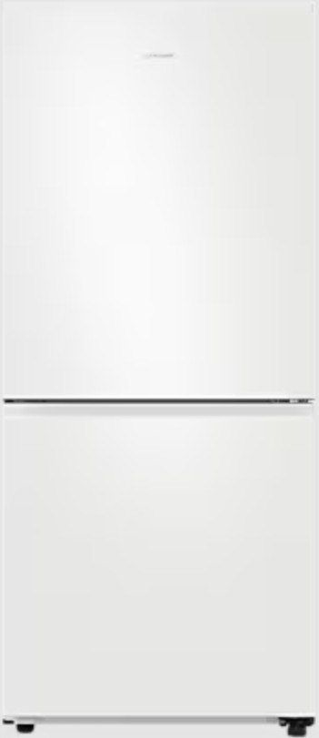 Samsung RB45DG600EWWTR