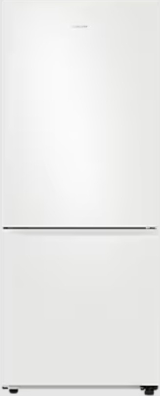 Samsung RB50DG601EWW