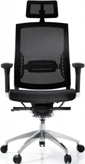 Ivo Office Lexus