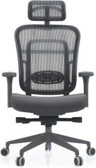 Ivo Office Passion
