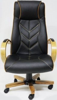 Ofisel Doruk