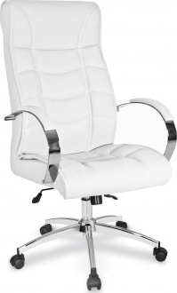 Rise Ofis Confor