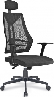 Rise Ofis Zoom