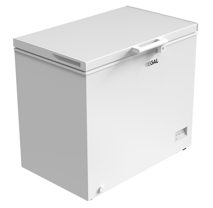 Regal SD Dual 3021 görsel 2