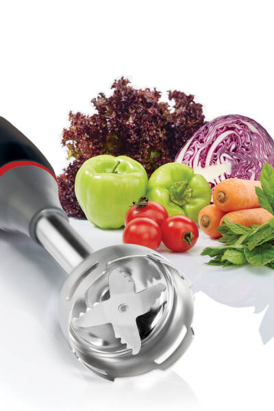Arzum AR1198 Hestia Pro Multi El Blender Seti, Siyah görsel 4