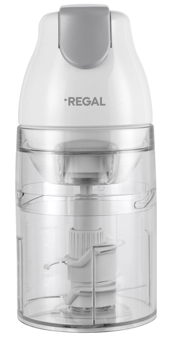 Regal RCD 1000