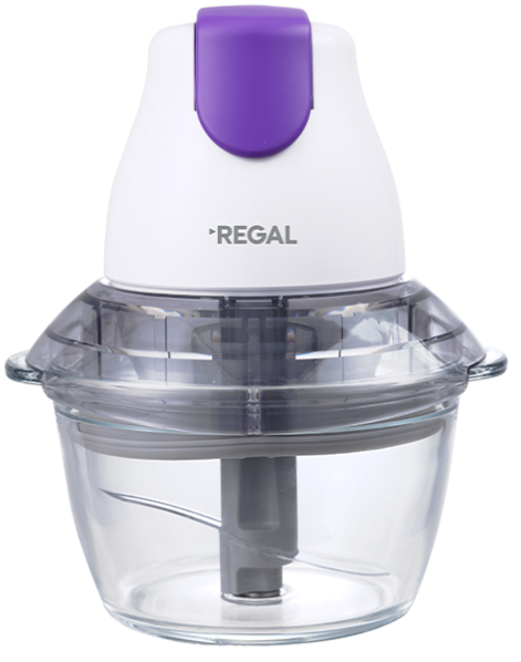 Regal RD 1000 B