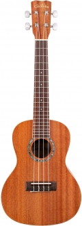Cordoba 15CM