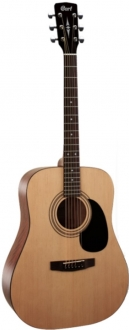 Cort AD810