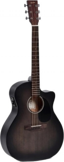Ditson GC-10E