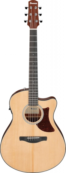 Ibanez AAM50CE
