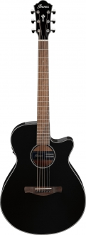 Ibanez AEG50