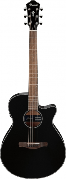 Ibanez AEG50