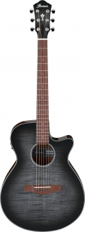 Ibanez AEG70