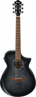 Ibanez AEWC400