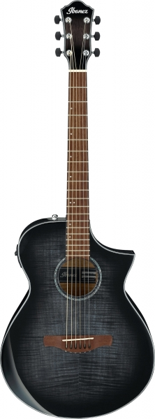 Ibanez AEWC400