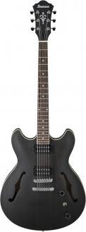 Ibanez AS53