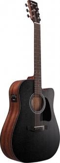 Ibanez AW247CE
