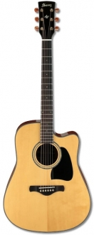 Ibanez AW3000CE