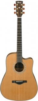 Ibanez AW3050CE-LG