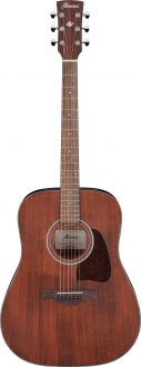 Ibanez AW54