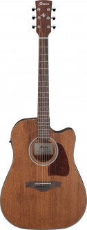 Ibanez AW54CE