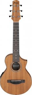 Ibanez EWP12EWB