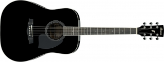 Ibanez PF15 görsel 3