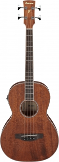 Ibanez PNB14E-OPN