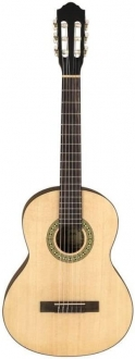 Kozmos IC-100