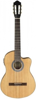 Kozmos IC-100CE