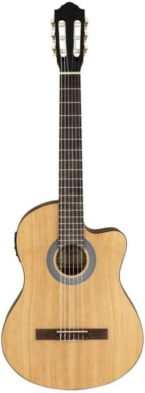 Kozmos IC-100CE