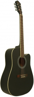 Segovia SGA41