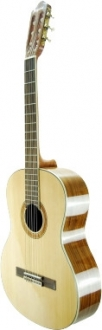 Segovia SGC300