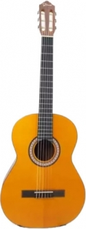 Strauss STN-113
