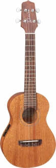 Takamine EGUC1