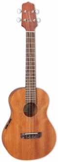 Takamine EGUT1