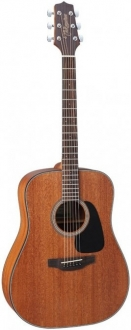 Takamine GD11M-NS