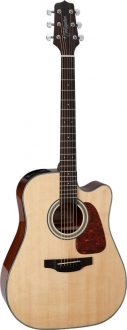 Takamine GD15CE