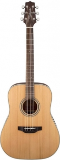 Takamine GD20