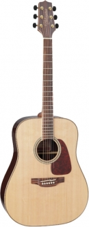 Takamine GD93