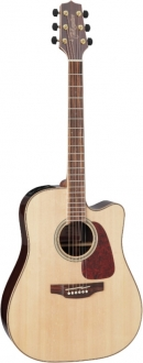 Takamine GD93CE