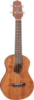 Takamine GUC1